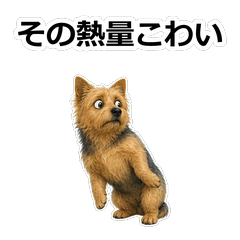 毒舌狗狗D032