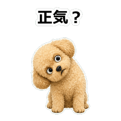 毒舌狗狗D031
