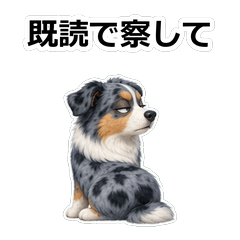 毒舌狗狗D029