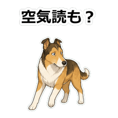 動畫毒舌狗狗D085