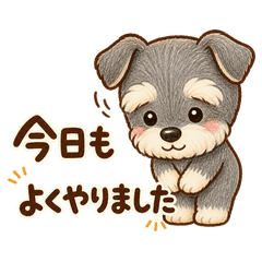 「辛苦了」組的舒娜輕聲慰勞的話語