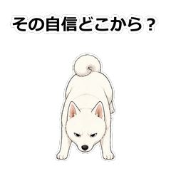 動畫毒舌狗狗D089
