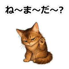 貓咪ソマリ未讀法庭貼圖