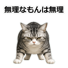 毒舌貓咪C048