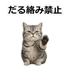 毒舌貓咪C057