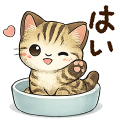 Kijitoraneko