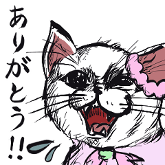 志保ちゃん５(無理矢理二足歩行猫