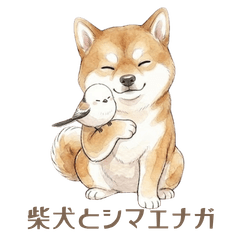 Shiba Inu & Shima Enaga: Daily Life2
