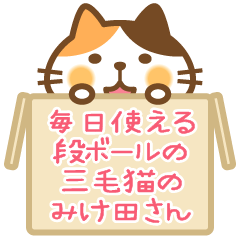 Calico cat Miketa-san & cardboard box