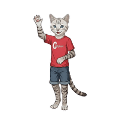 Silver Cat's Bulk Shopping Stickers