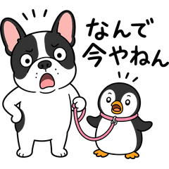 Daily Frenchie & Penguin: Kansai Style