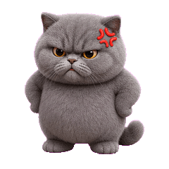 Round Gray Cat Set3