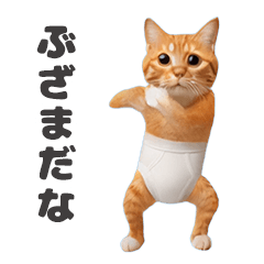 *dance! dancing Cat wearing shorts2