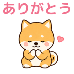 Yuru Mameshiba for Daily Chats
