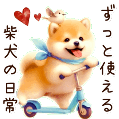 ずっと使える︎✿柴犬の日常‪✿