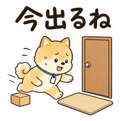 Delivery Shiba Receiving Notes