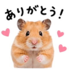Mofumofu Hamster Emoji