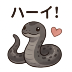 Mexican Black King snake