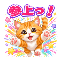 元気な子猫が邪魔をする