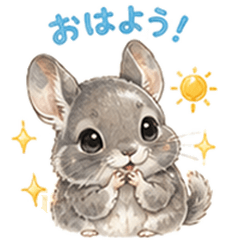 Chinchilla-san Summer