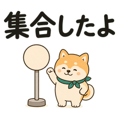 Bus Stop Shiba Morning Checks