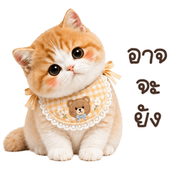 meowchokun big <3