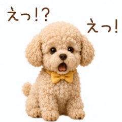 自由人トイプードルのリアクション