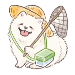夏のもふもふサモエドさん