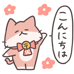火曜にゃんこ「ぽぽ」