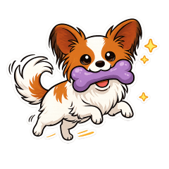 Cute & Cozy Papillon Non