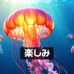 飛び出す！水中熱帯魚・海の生き物たち