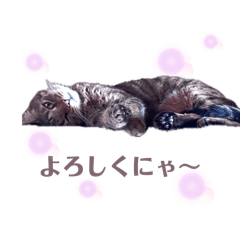 ellie_20260617230000