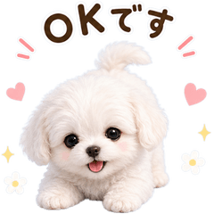 マルチーズの癒しかわいい♥返事・挨拶
