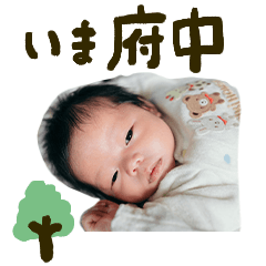 Dan Fanclub Fuchu version 2026