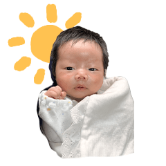 Dan Fan club Special Collection 2026