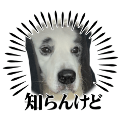 mimimi_20260620220316