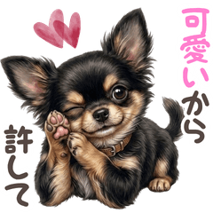 20260620dog