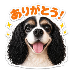 Expressive Cavalier Daily Stickers