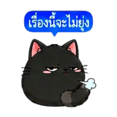 Chubby chub black cat: burnout