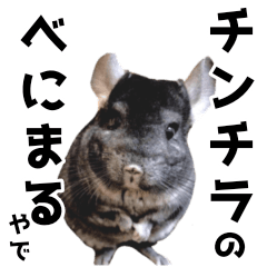 Chinchilla sticker "Benimaru"version