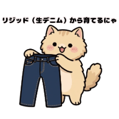 Denim Nerd Cat Haru: Fade Aesthetic