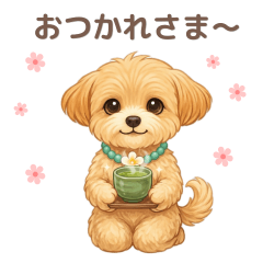 Fluffy Maltipoo Daily Phrases