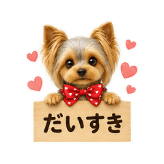 Cozy Yorkie Message Board