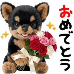 Chihuahua cute lovely animal