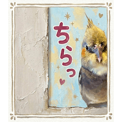 Cockatiel Kabochim2
