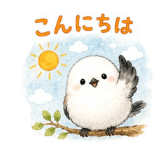 birds st.