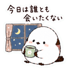 Shima Enaga's Quiet Me Time