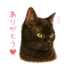 kana_20260613131946