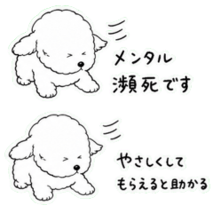 Mentally Drained White Dog Days