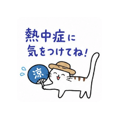 cat growing Summer